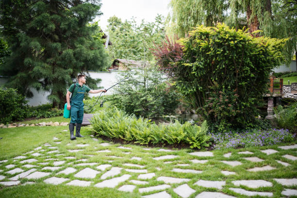 Best Ant Control Services  in Sierra Madre, CA