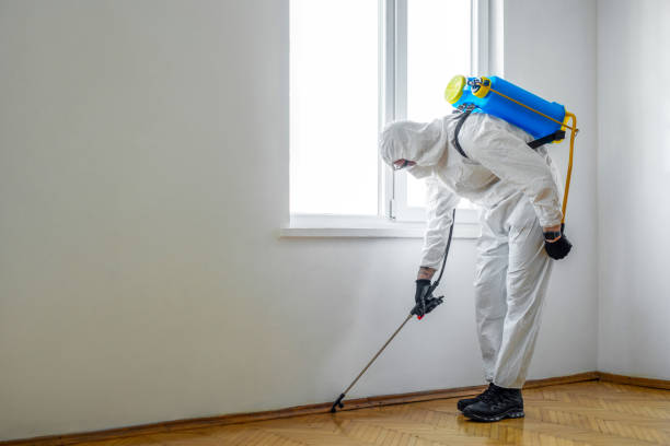 Pest Prevention Services in Sierra Madre, CA
