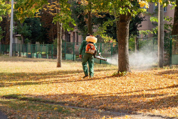 Best Wildlife Control Services  in Sierra Madre, CA